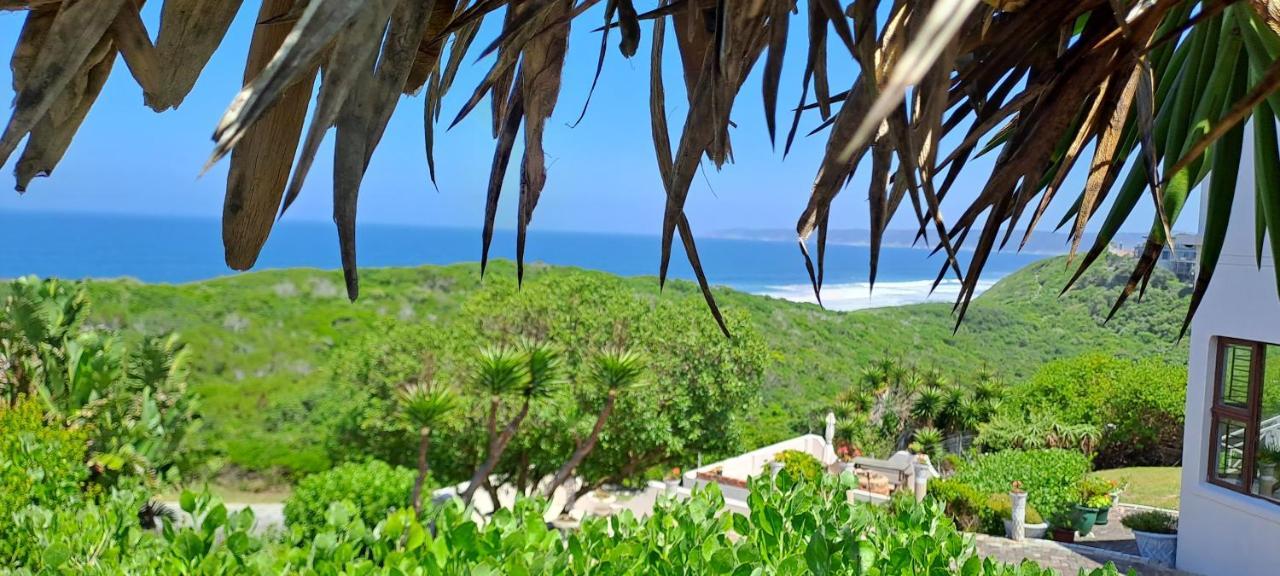 Villa Cape Garden Route ワイルダーネス エクステリア 写真